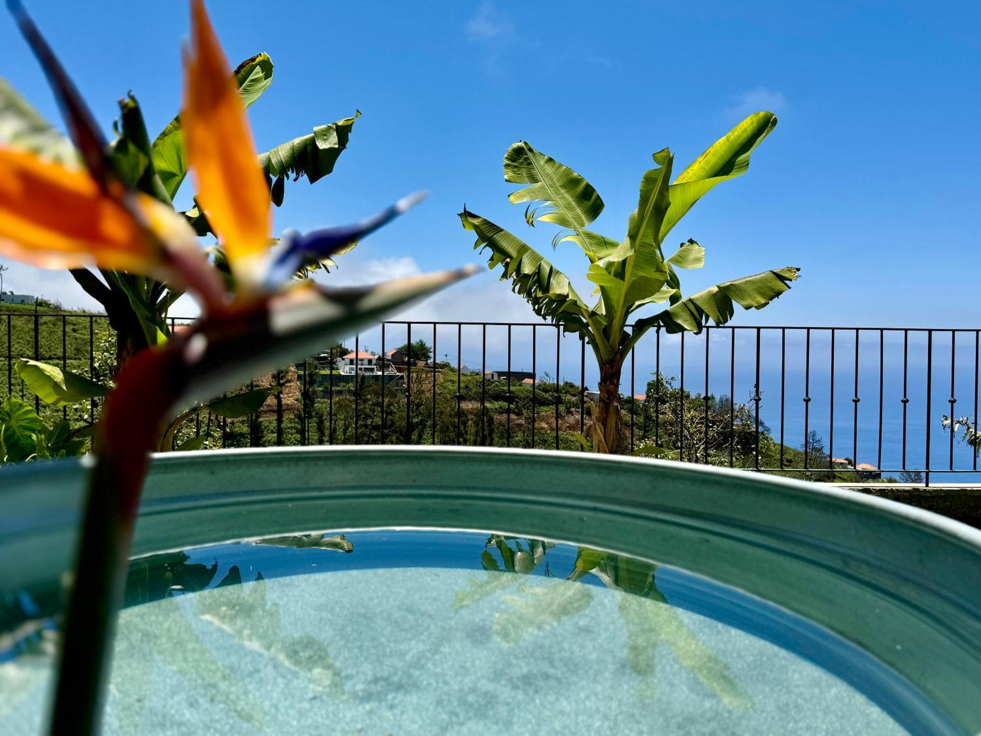 Meerblick - 3-Bett Villa Mit Terrassen & Hot-Tub Fajã da Ovelha Kültér fotó